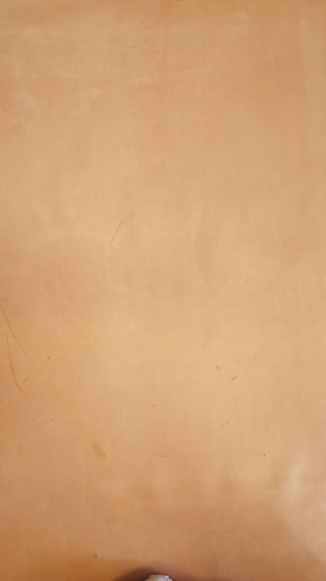 動画を読み込む: 